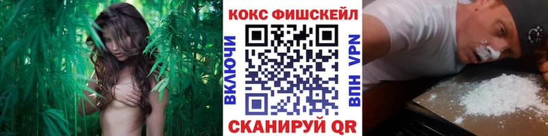 Кокаин Эквадор мориарти как зайти Сочи
