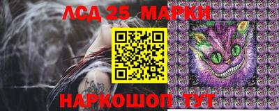 прущие грибы Заводоуковск