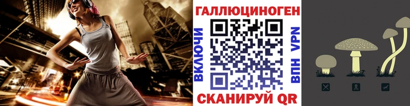 Галлюциногенные грибы Psilocybine cubensis  Сочи 