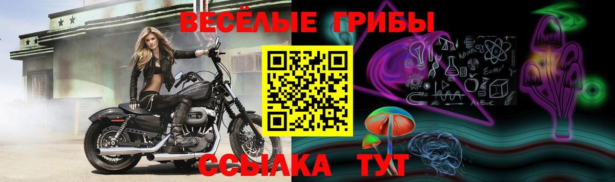 Сочи  где купить наркоту  Галлюциногенные грибы Cubensis  Вход с VPN  Галлюциногенные грибы Magic Shrooms 