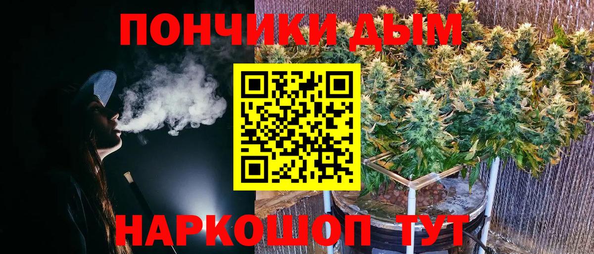 МАРИХУАНА сатива Сочи
